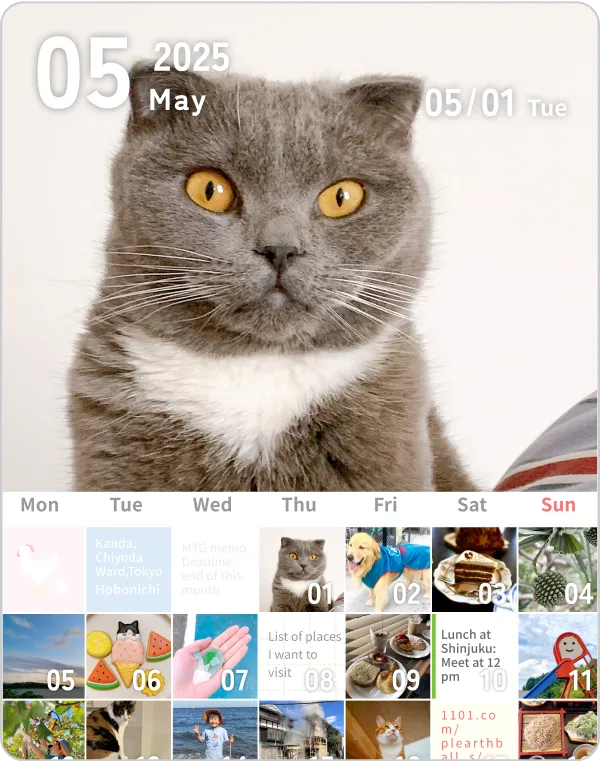 Look back with the monthly calendar