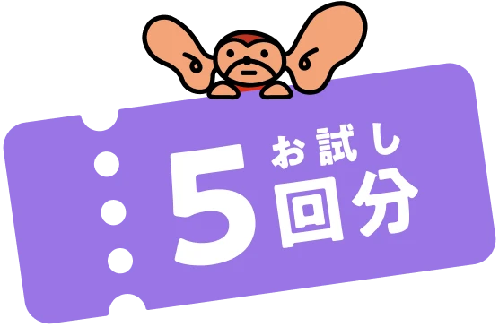 お試し5回分
